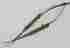 05-2325 Lindstrom Lens Forceps Titanium Rhein Insertion With Notch-titanium