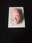 11-12 Young One Week Life Size Fetus Anatomical Model Pregnancy Fetal Baby