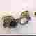 460900 Good Lite Pediatric Opaque Occluder Glasses Horse New Fast Free Ship