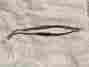 6515006197701 Miltex Corneal Castroviejo Ophthalmic Scissors Curved Left New