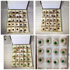 Adm-age-n13 Adams Artificial Green Eyes-25