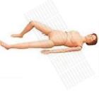 Adm-dal-n37 Adams Superior Nursing Manikin