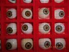 Aec-050 Kashsurg Artificial-eyes-colored-50-eyes-ophthalmic-equipments