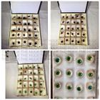 Hulk-aep-g25 Hulk Artificial Eyes-prosthetic Eyes