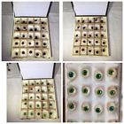 Hulk Artificial Eyes Brown Green Blue Blackeyes Hulk Artificial Eyes Brown Green Blue Blackeyes
