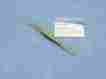 I-11255 Steinert Lens Forceps Icon Folder Ii