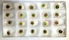 Lab-001 Labapp New Green Artificial Eyes Pieces Prosthetic Set