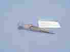 Op3821 Francis Chalzion Forceps V Mueller Chalazion German