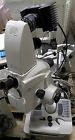 Rfi3005 Optical Imaging Retinal Function