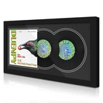Duenpy Vinyl Record Display Frame Inches 15.1X30, Double Black Mat. Fixed Price $53.99.