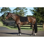 Showmaster Horse Core Resistance Muscle Training Pad. Fixed Price $99.38.