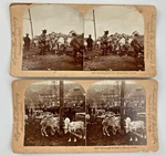 1898 Government Route For Alaska & Unloading Reindeer, Stereo View. Fixed Price $9.99.