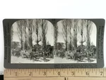Ox Teams And Drivers In Rural Chile Stereoview Keystone Co. 1900S. Fixed Price $24.99.