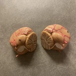 Somso Base Head Cranium Brain Anatomical Model Replacement Parts Cerebellum Only. Fixed Price $127.49.