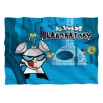 Dexter's Laboratory "lab" Pillow Case - 20 28. Fixed Price $24.18.