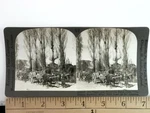 Ox Teams And Drivers In Rural Chile Stereoview Keystone Co. 1900S. Fixed Price $24.99.