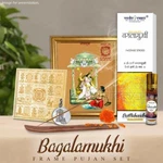 Vedic Vaani Bagalamukhi Mata Shakti Yantra Sadhna Frame Pujan Bhakti Set. Fixed Price $150.00.