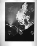 Book Plate B&w Photo Ansel Adams Cloud / Madrone Bark. Fixed Price $9.99.