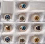 High Quality Prosthetic Eye Cosmetic Ocular Replacement Set Of 10PC With Case. Fixed Price $32.54.