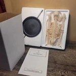 17"HUMAN Skeleton Halloween Anatomy Model Science Classroom Tool. Fixed Price $65.00.