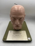 Somso Anatomical Of The Head Sectional Model W/ Mr-figures. Fixed Price $2995.00.